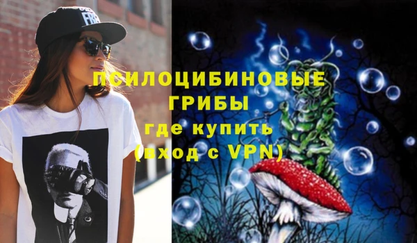 соль ск Надым