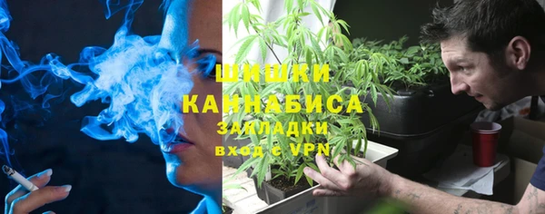 гашик Нефтекумск