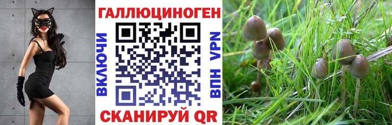 Псилоцибиновые грибы MAGIC MUSHROOMS  Купить закладки  Добрянка 